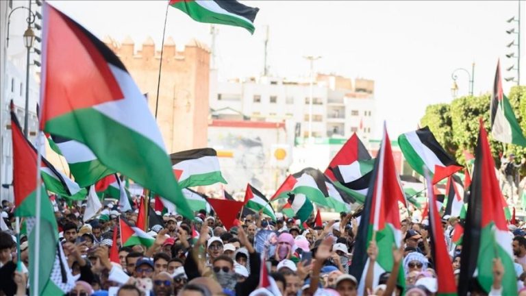 واجب الجامعات تجاه غزة